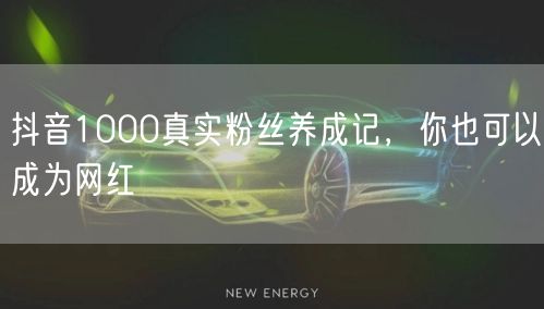 抖音1000真实粉丝养成记，你也可以成为网红