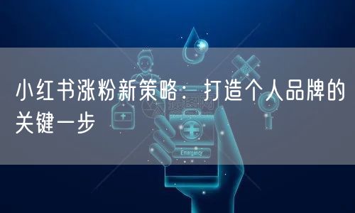 小红书涨粉新策略：打造个人品牌的关键一步