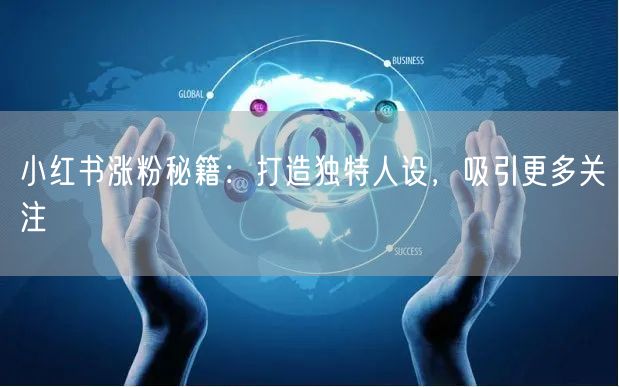 小红书涨粉秘籍：打造独特人设，吸引更多关注