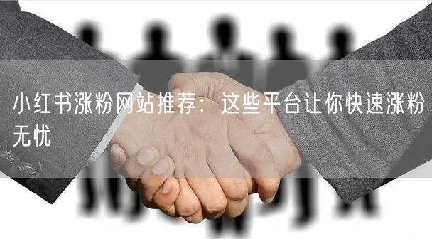 小红书涨粉网站推荐：这些平台让你快速涨粉无忧