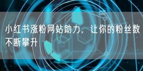 小红书涨粉网站助力，让你的粉丝数不断攀升