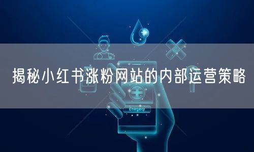 揭秘小红书涨粉网站的内部运营策略