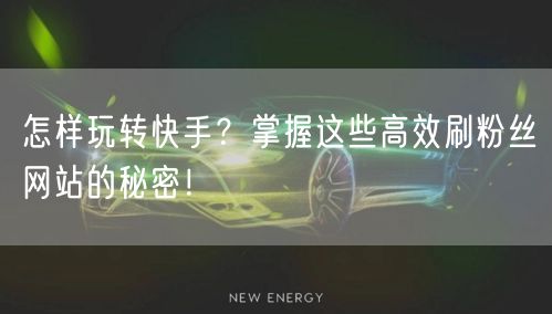 怎样玩转快手？掌握这些高效刷粉丝网站的秘密！