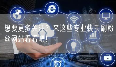 想要更多关注？来这些专业快手刷粉丝网站看看吧！