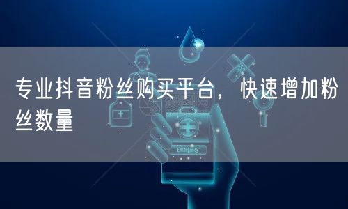 专业抖音粉丝购买平台，快速增加粉丝数量