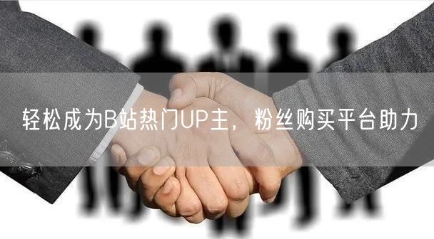 轻松成为B站热门UP主，粉丝购买平台助力