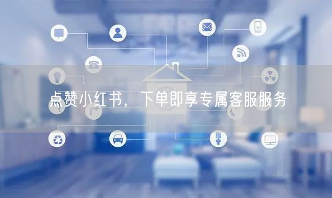 点赞小红书，下单即享专属客服服务